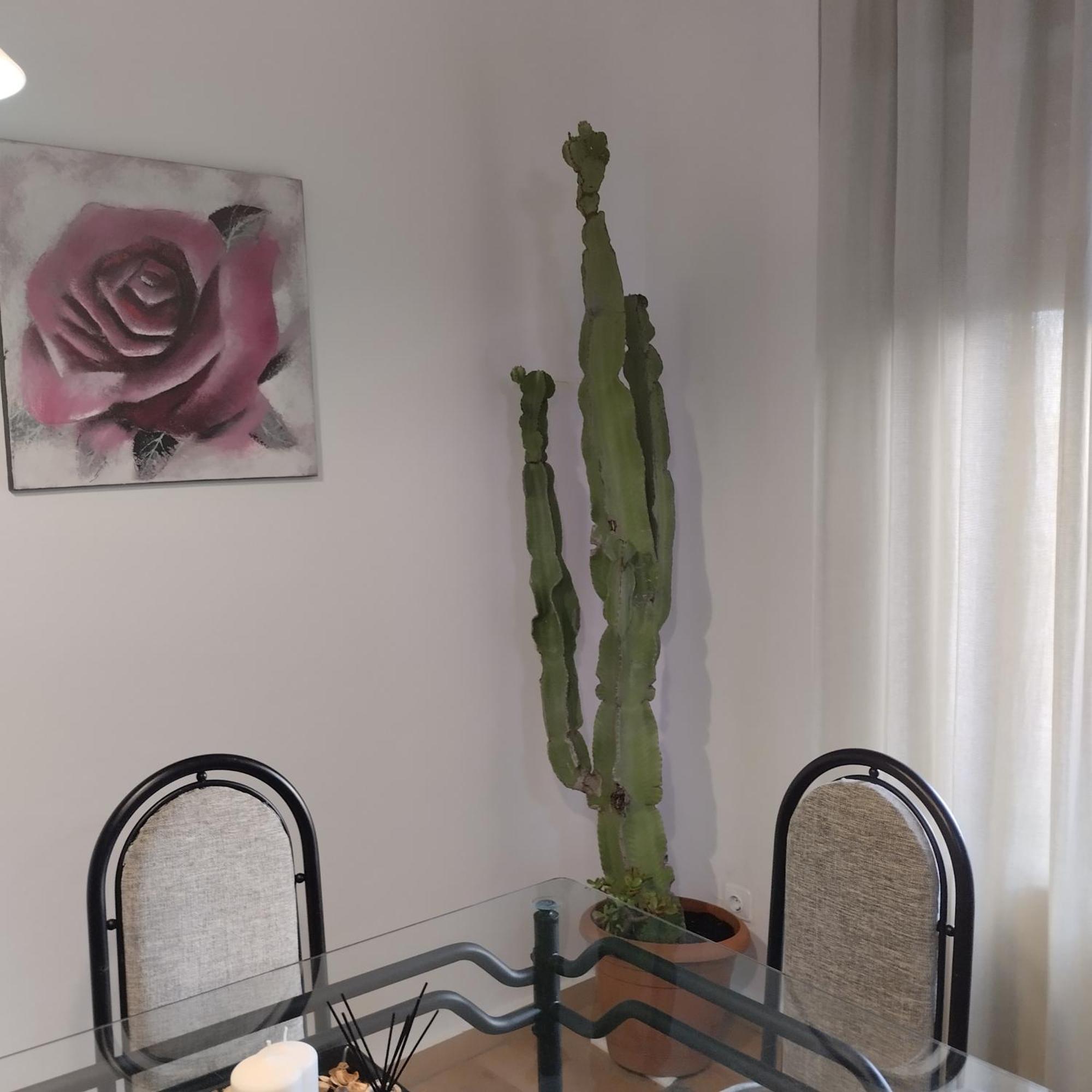 Apartamento Esperanza De La Yedra جيريز المظهر الخارجي الصورة